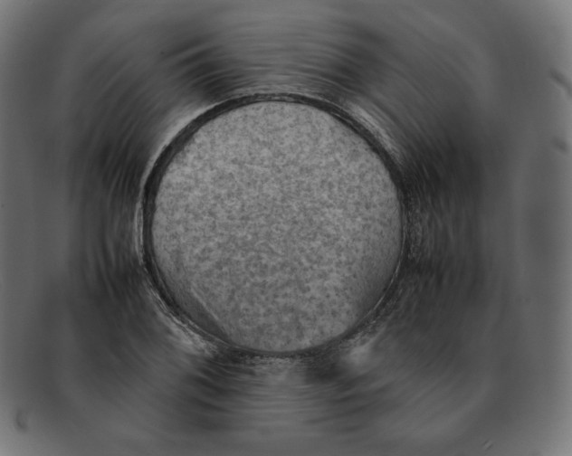 X0000092051076200710101011