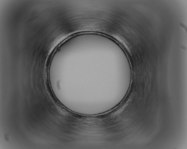 X0000092051077200710101011