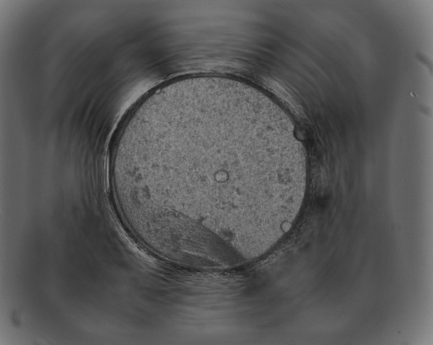 X0000092051079200710101011