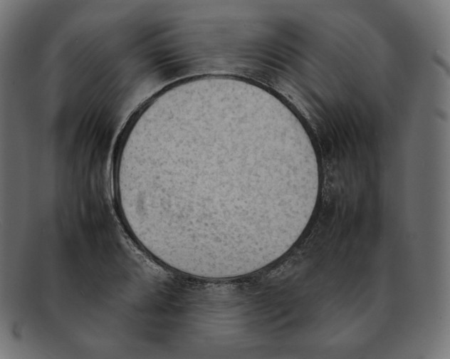 X0000092051080200710101011