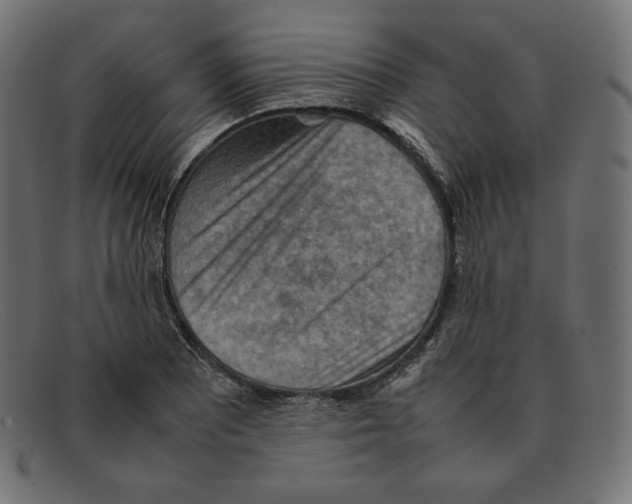 X0000092051081200710101011