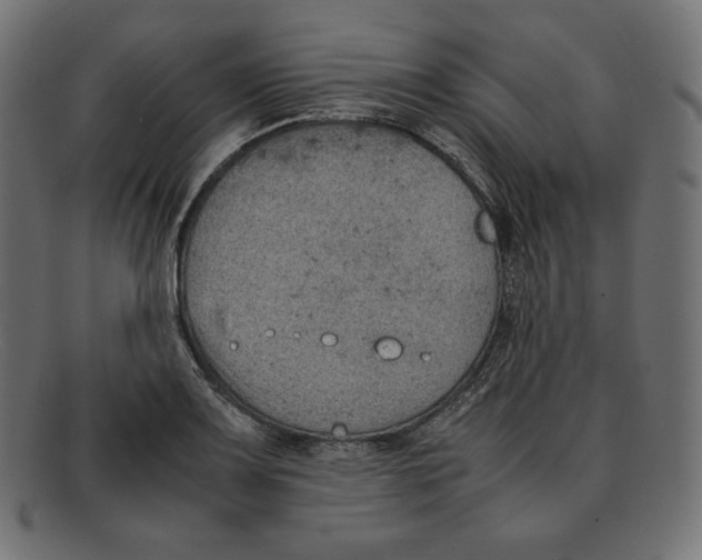 X0000092051083200710101011