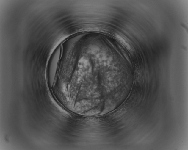 X0000092051084200710101011