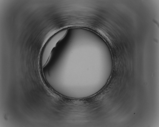 X0000092051085200710101011