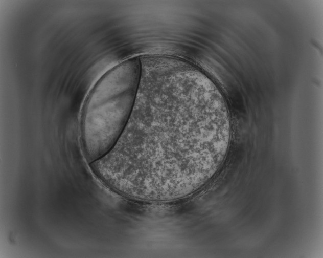 X0000092051087200710101011