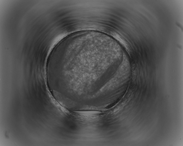 X0000092051088200710101011