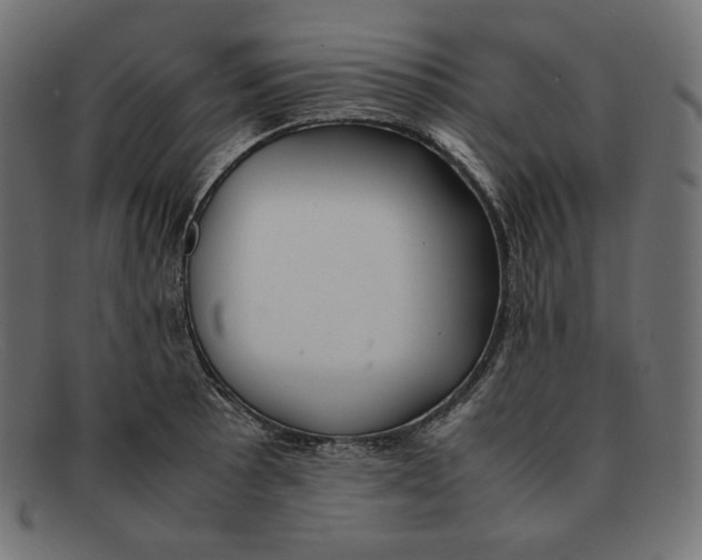 X0000092051089200710101011