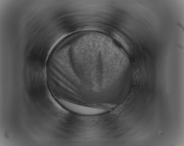 X0000092051092200710101011