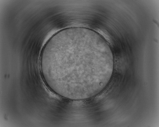 X0000092051094200710101011