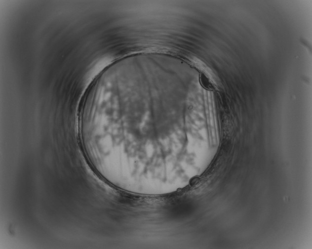 X0000092051095200710101011