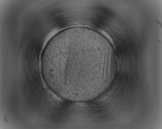 X0000092051096200710101011