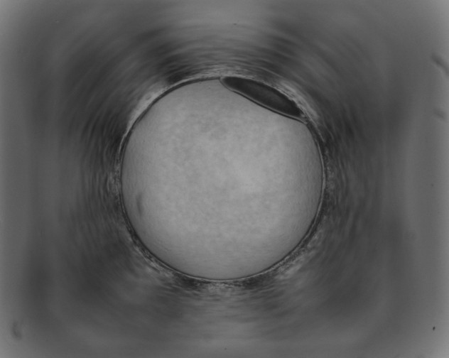 X0000092051097200710101011