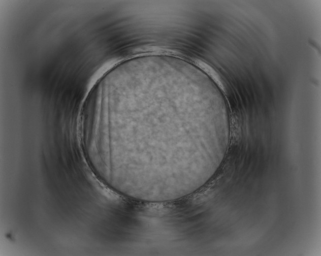 X0000092051098200710101011