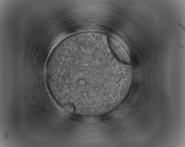 X0000092051099200710101011