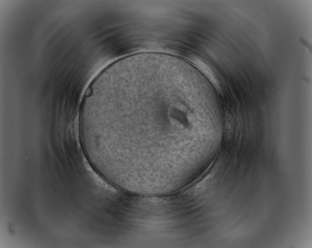 X0000092051100200710101011