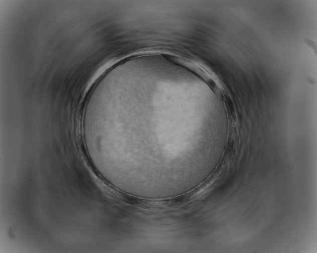 X0000092051101200710101011