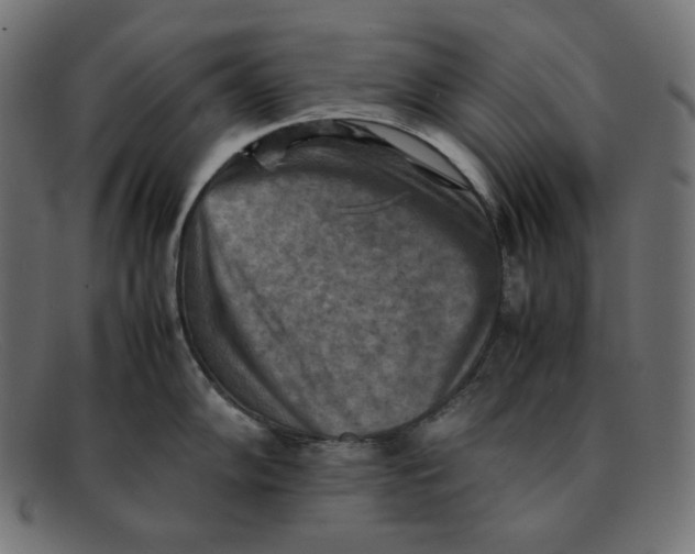 X0000092051102200710101011