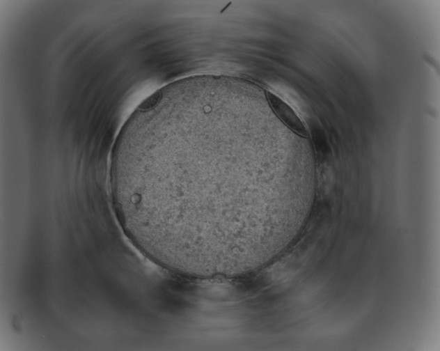 X0000092051103200710101011