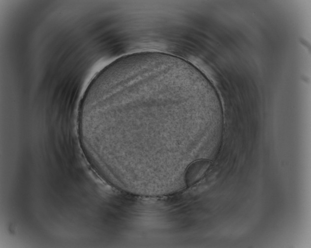 X0000092051104200710101011