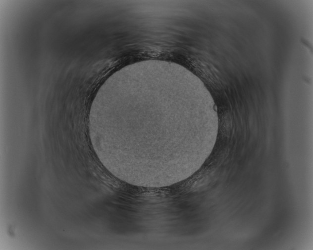 X0000092051105200710101010