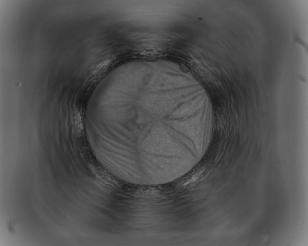 X0000092051106200710101010