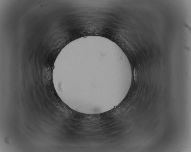 X0000092051107200710101010