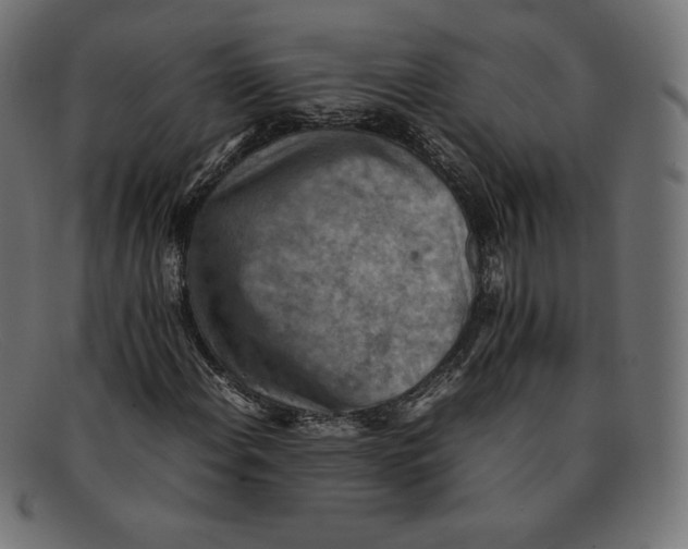 X0000092051108200710101010