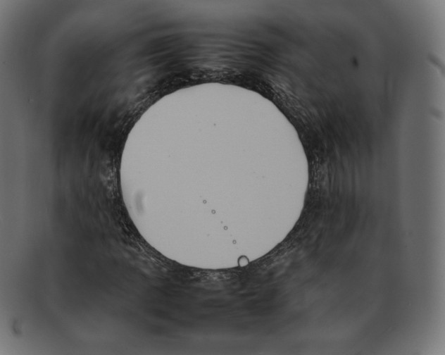 X0000092051109200710101010