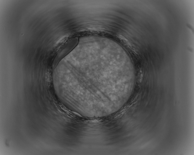 X0000092051110200710101010