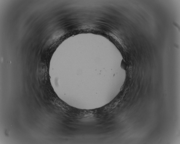 X0000092051111200710101010