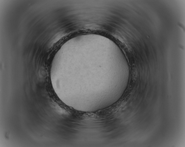 X0000092051112200710101010