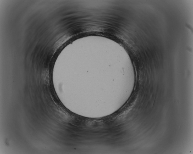 X0000092051113200710101010