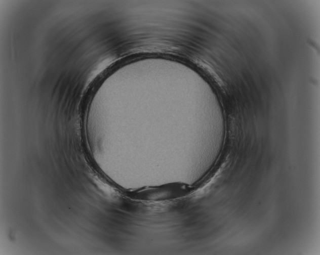 X0000092051114200710101010