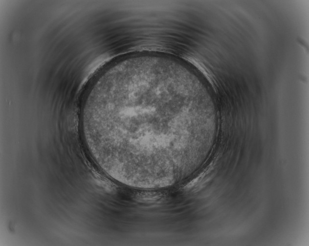 X0000092051115200710101010