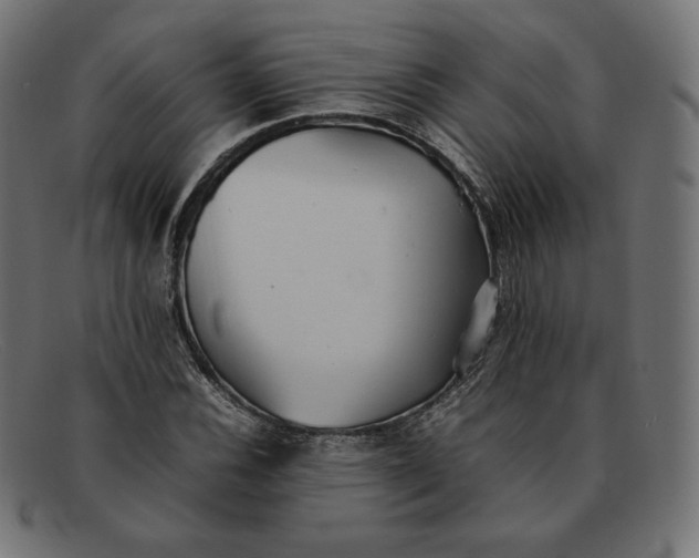 X0000092051116200710101010