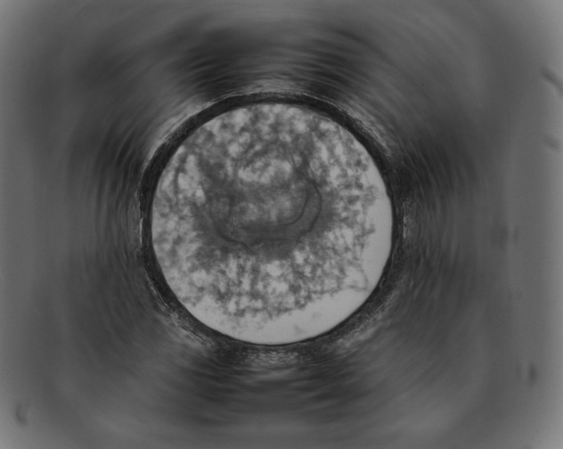 X0000092051117200710101010