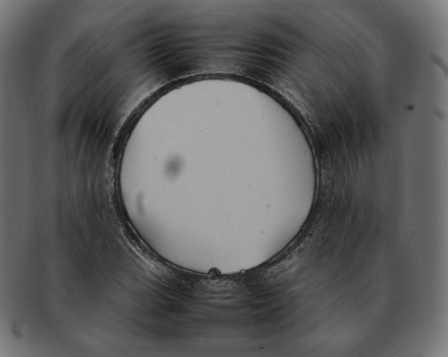 X0000092051119200710101011