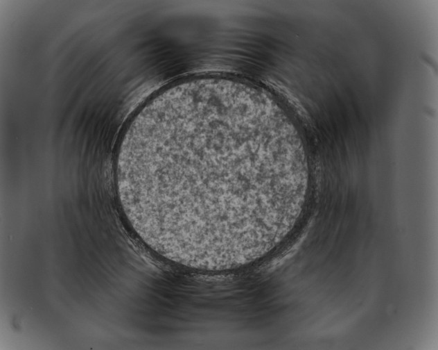 X0000092051121200710101011