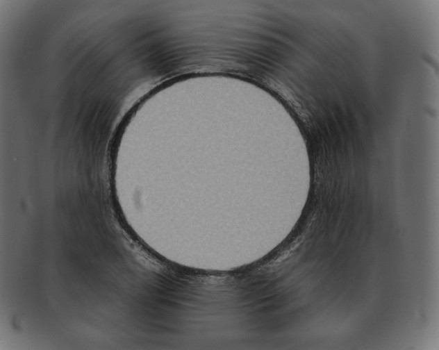 X0000092051122200710101011