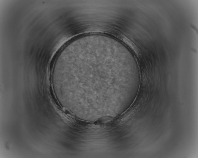 X0000092051124200710101011