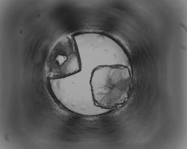 X0000092051125200710101011