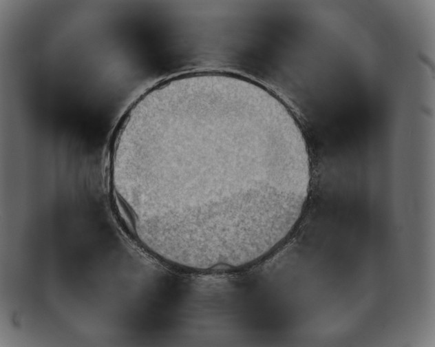 X0000092051126200710101011