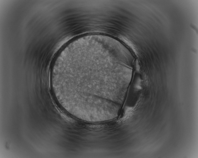 X0000092051127200710101011