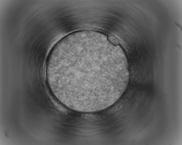 X0000092051128200710101011