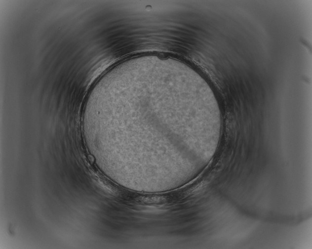 X0000092051129200710101011