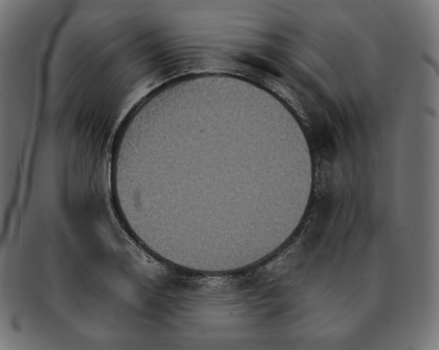 X0000092051130200710101011