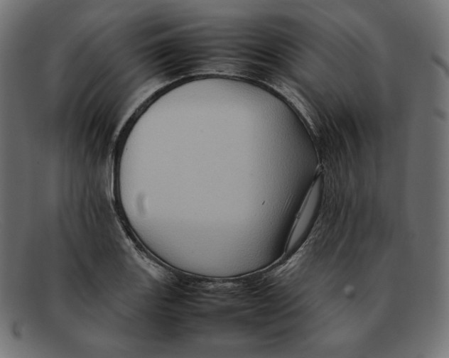 X0000092051131200710101011