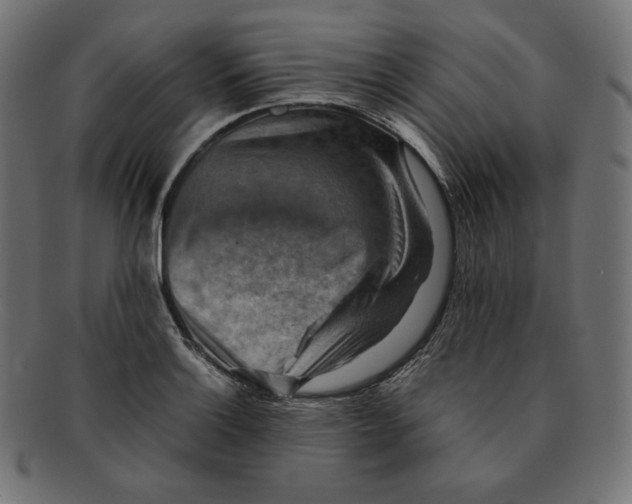 X0000092051132200710101011