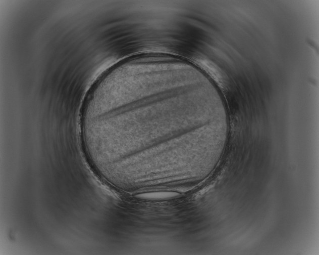 X0000092051133200710101011