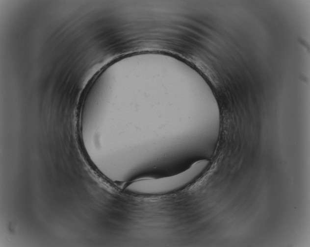 X0000092051134200710101011